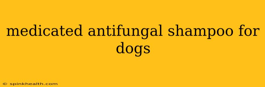 medicated antifungal shampoo for dogs