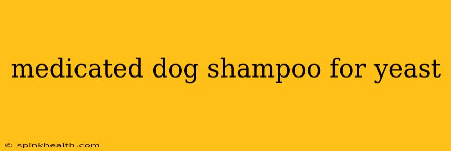 medicated dog shampoo for yeast