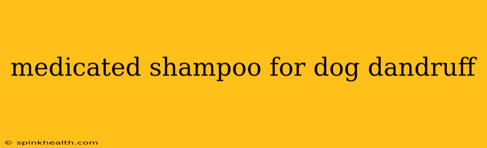 medicated shampoo for dog dandruff