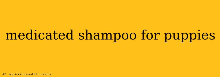 medicated shampoo for puppies