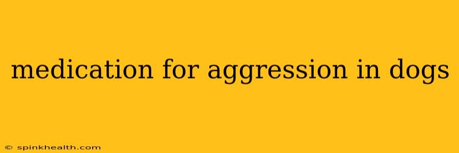medication for aggression in dogs