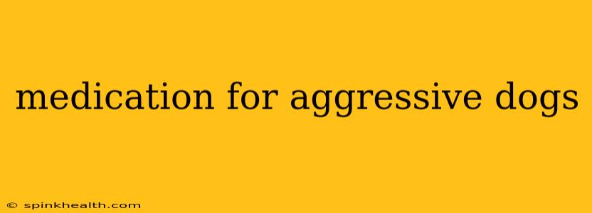 medication for aggressive dogs