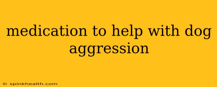 medication to help with dog aggression