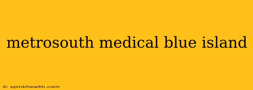 metrosouth medical blue island