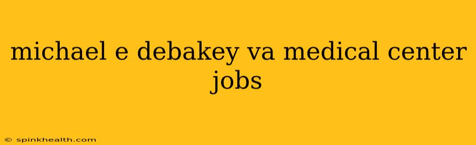 michael e debakey va medical center jobs