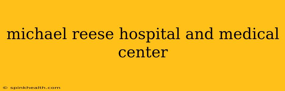 michael reese hospital and medical center