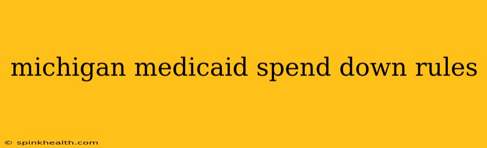 michigan medicaid spend down rules