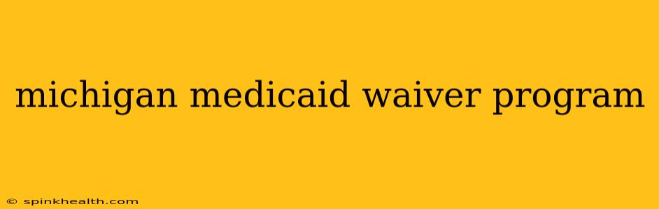 michigan medicaid waiver program