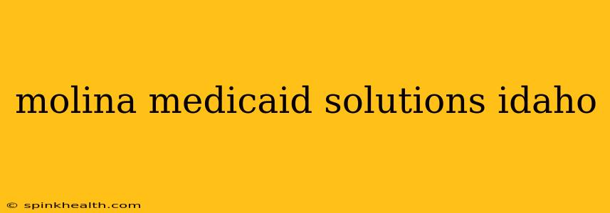 molina medicaid solutions idaho