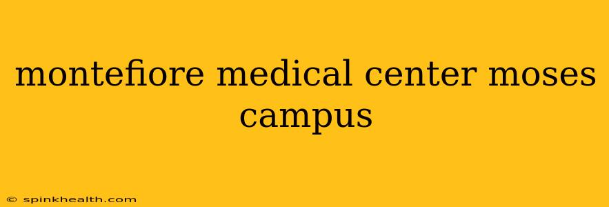 montefiore medical center moses campus