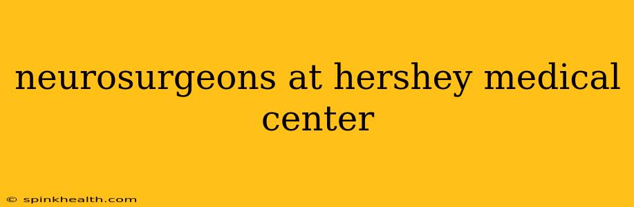 neurosurgeons at hershey medical center