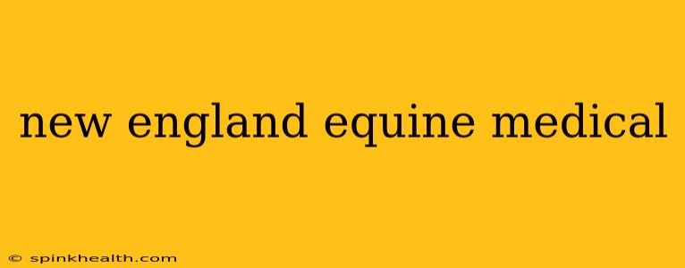 new england equine medical