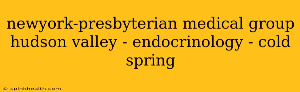 newyork-presbyterian medical group hudson valley - endocrinology - cold spring