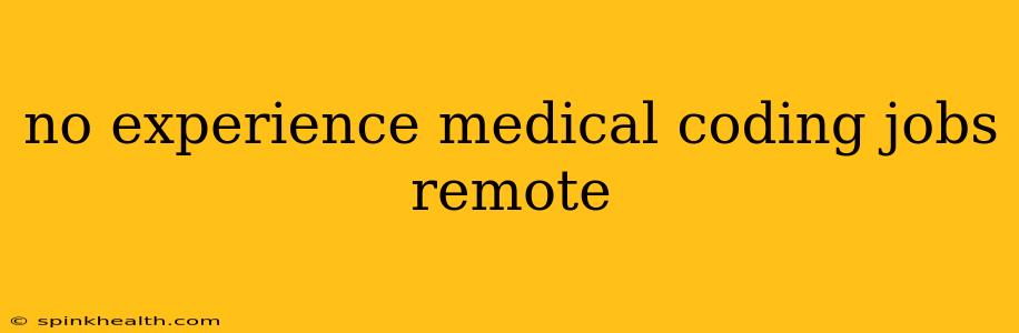 no experience medical coding jobs remote