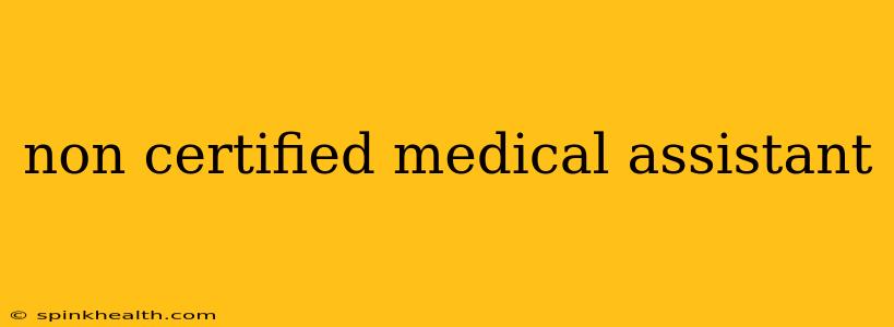 non certified medical assistant