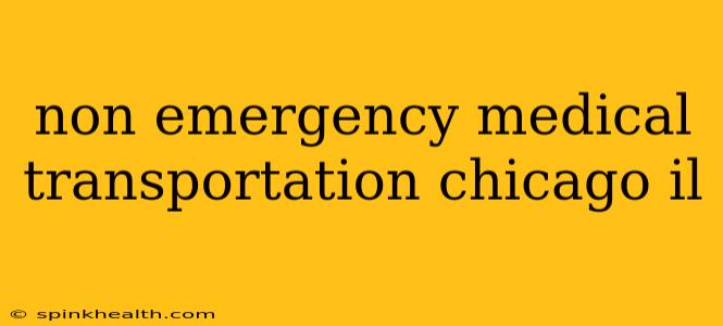 non emergency medical transportation chicago il