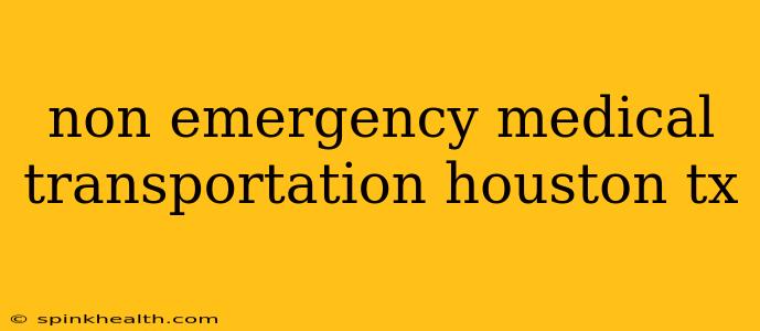 non emergency medical transportation houston tx