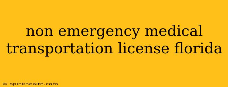 non emergency medical transportation license florida