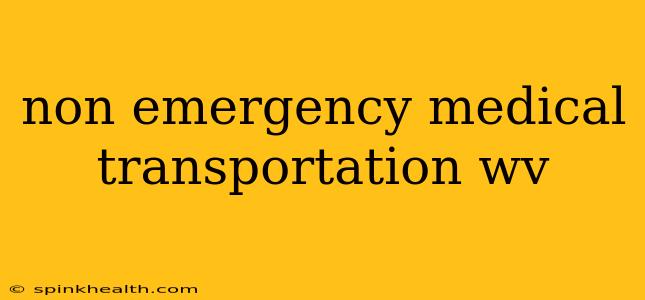 non emergency medical transportation wv