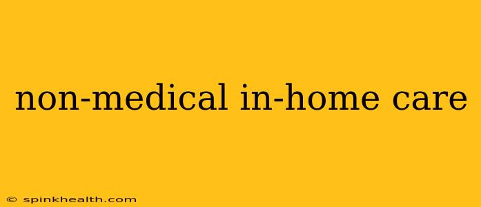 non-medical in-home care