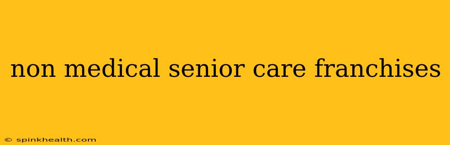 non medical senior care franchises