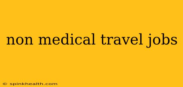 non medical travel jobs