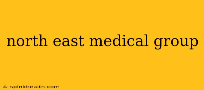 north east medical group