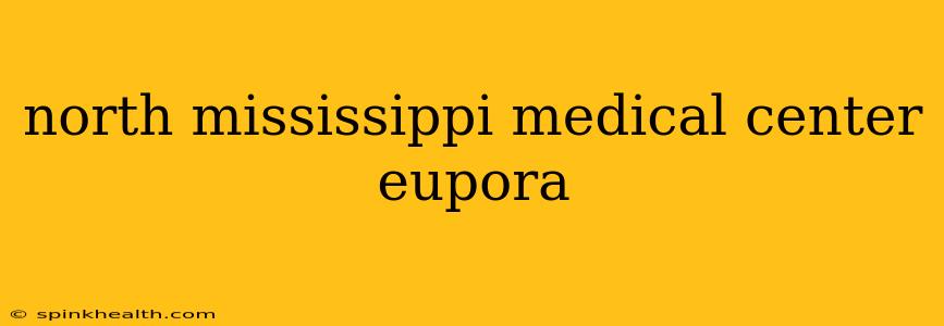 north mississippi medical center eupora