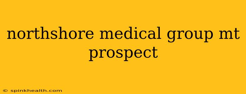 northshore medical group mt prospect