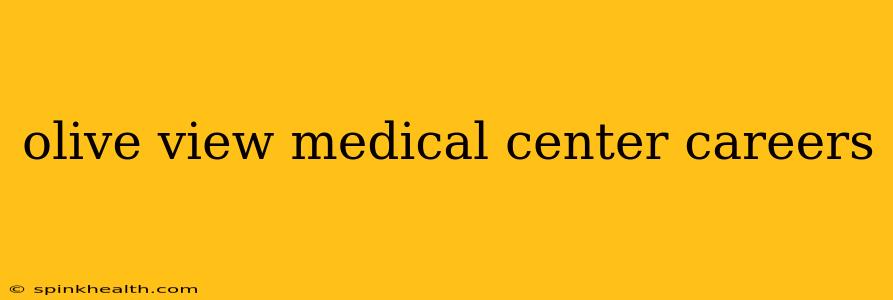 olive view medical center careers