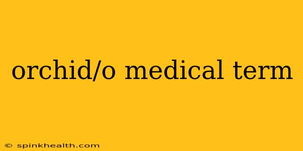 orchid/o medical term