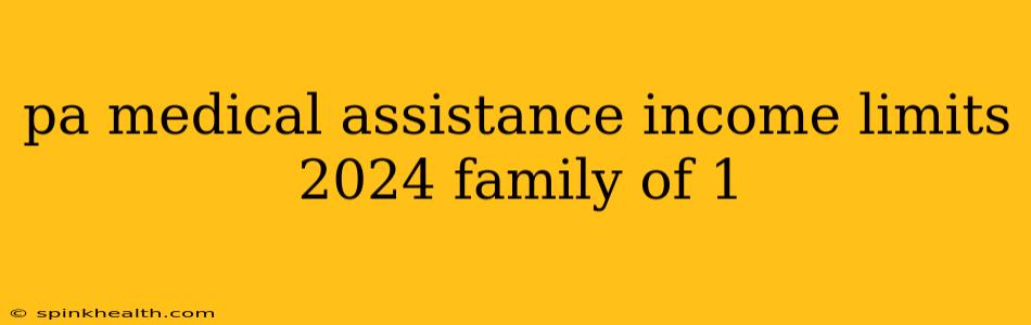 pa medical assistance income limits 2024 family of 1