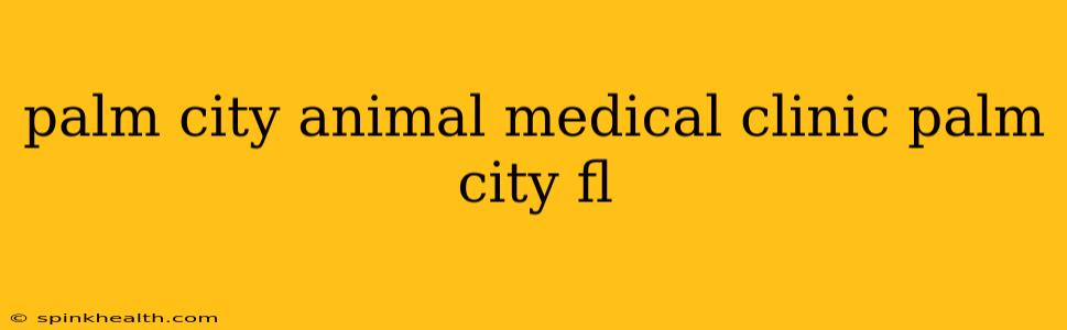 palm city animal medical clinic palm city fl
