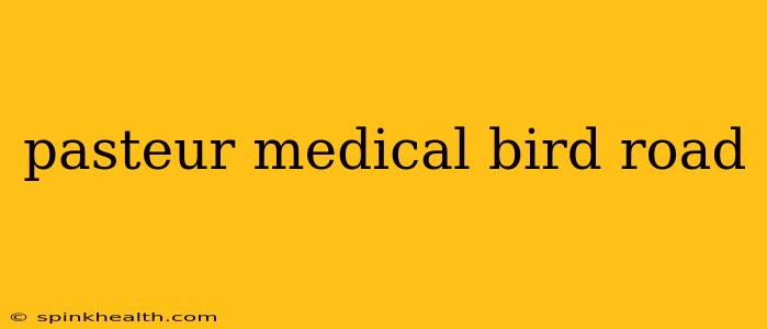 pasteur medical bird road