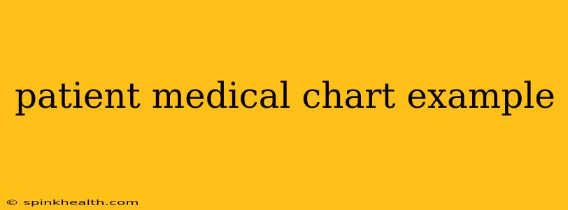 patient medical chart example