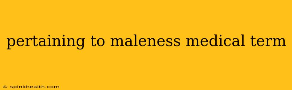 pertaining to maleness medical term