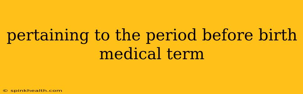 pertaining to the period before birth medical term