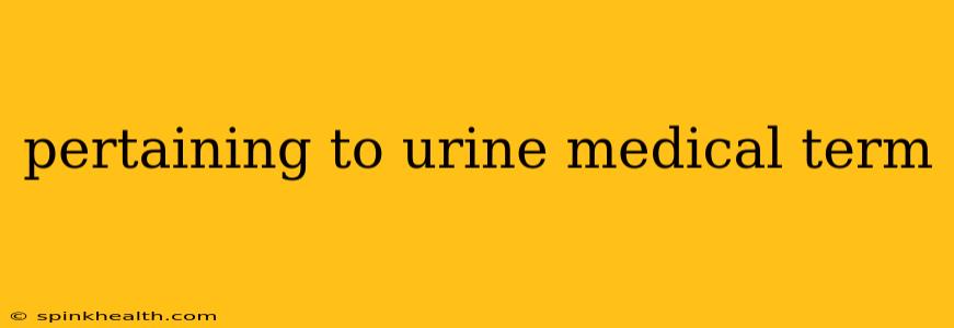 pertaining to urine medical term