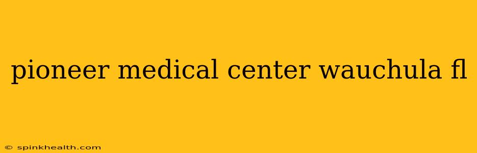 pioneer medical center wauchula fl