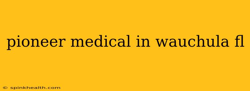 pioneer medical in wauchula fl