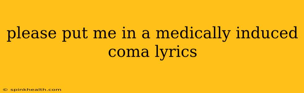 please put me in a medically induced coma lyrics