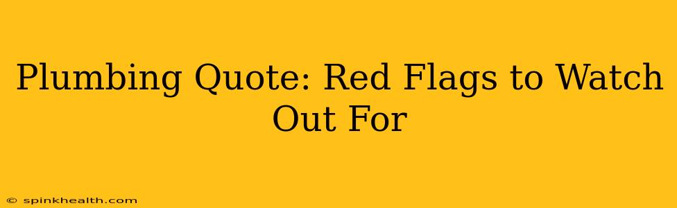 Plumbing Quote: Red Flags to Watch Out For