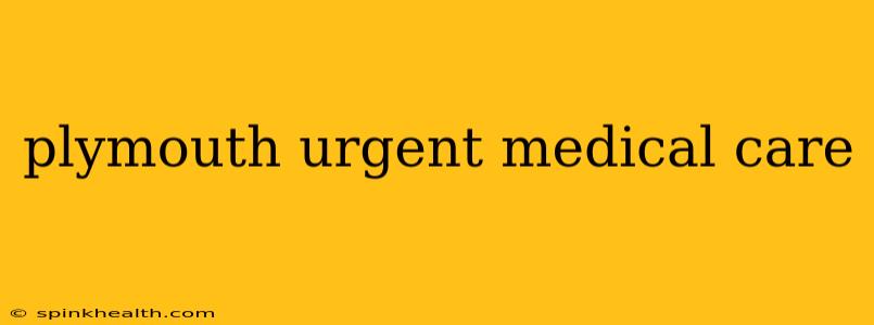 plymouth urgent medical care
