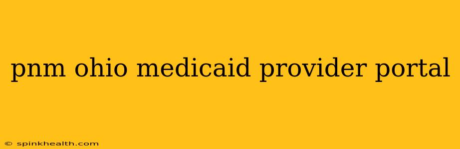 pnm ohio medicaid provider portal