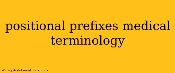 positional prefixes medical terminology