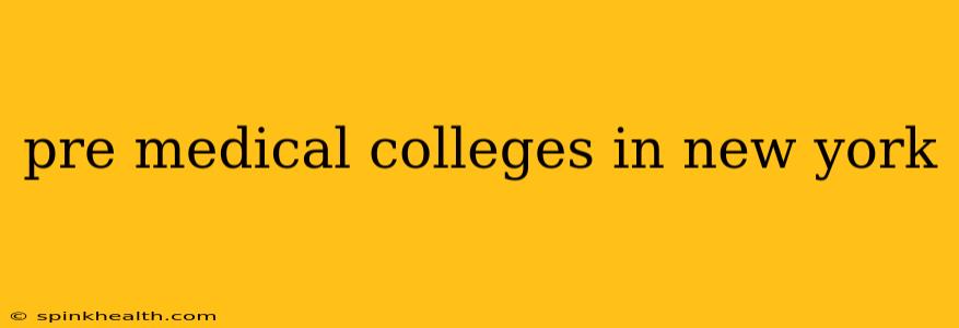 pre medical colleges in new york