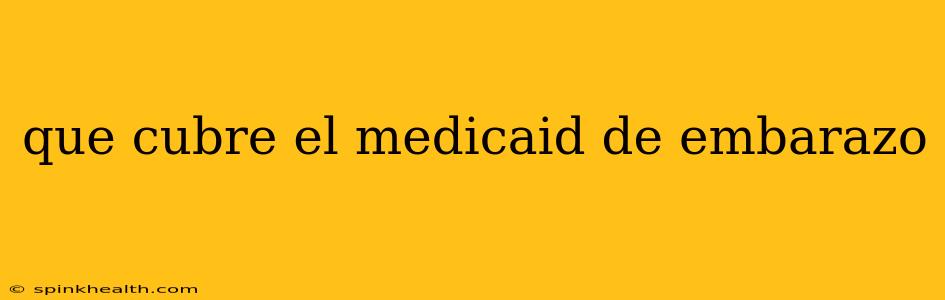 que cubre el medicaid de embarazo