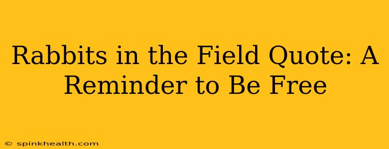 Rabbits in the Field Quote: A Reminder to Be Free