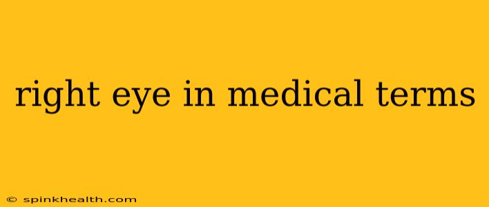 right eye in medical terms