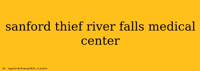 sanford thief river falls medical center